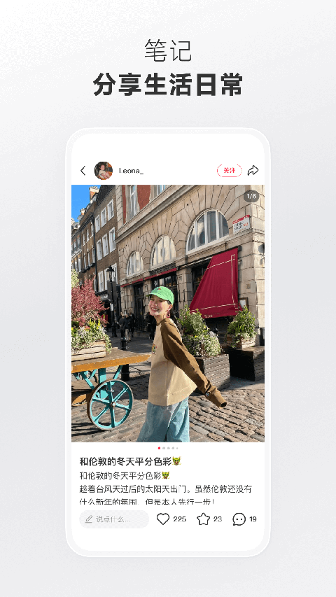 秋千绳索缠绕藤蔓结出荧光浆果的庭院壁纸